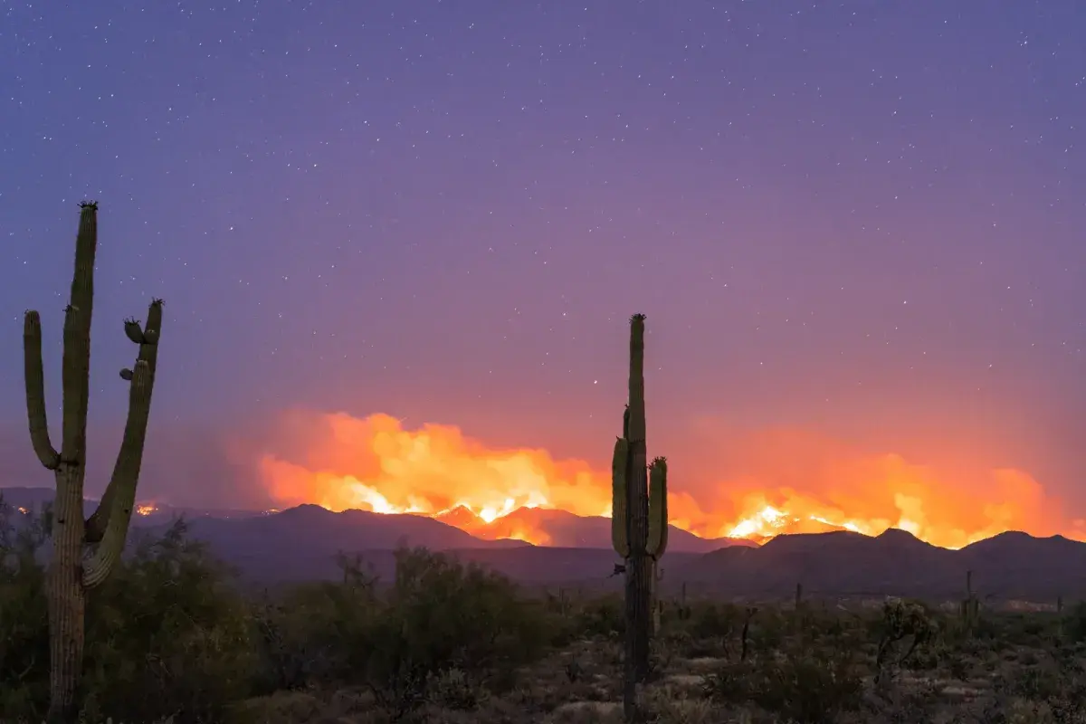 Protecting Your Home from Wildfires – Arizona Fire Prevention Strategies