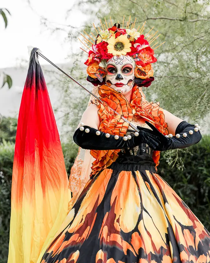 Orion180_Accelerate25_8