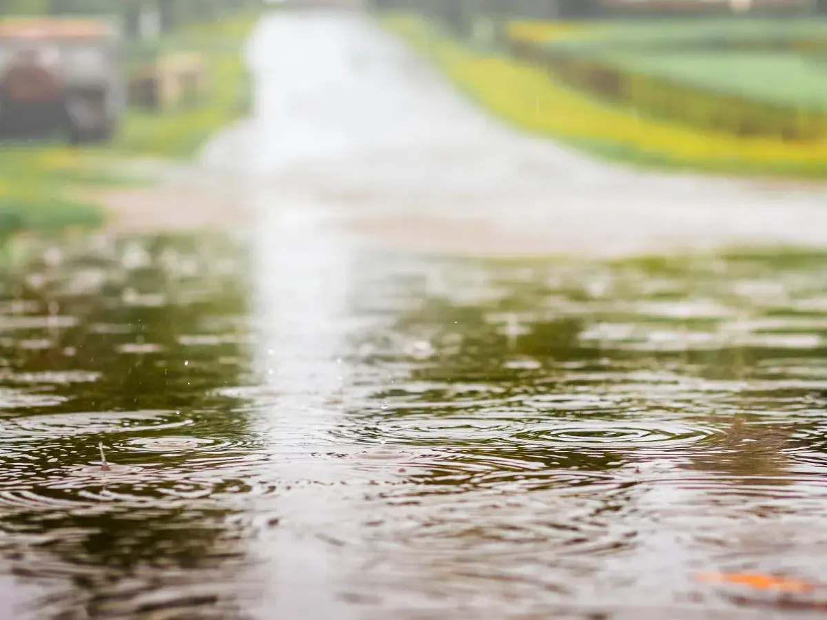 Flooded street