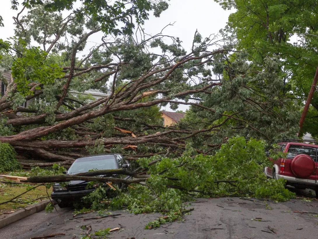 Damage from a hurricane
