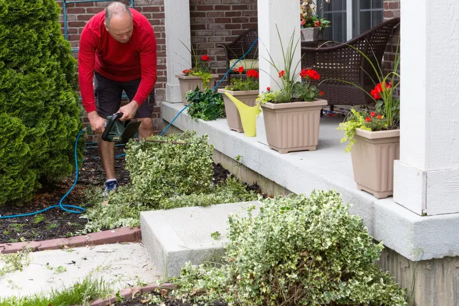 DIY or Hire a Pro? Navigating Spring Home Maintenance Needs