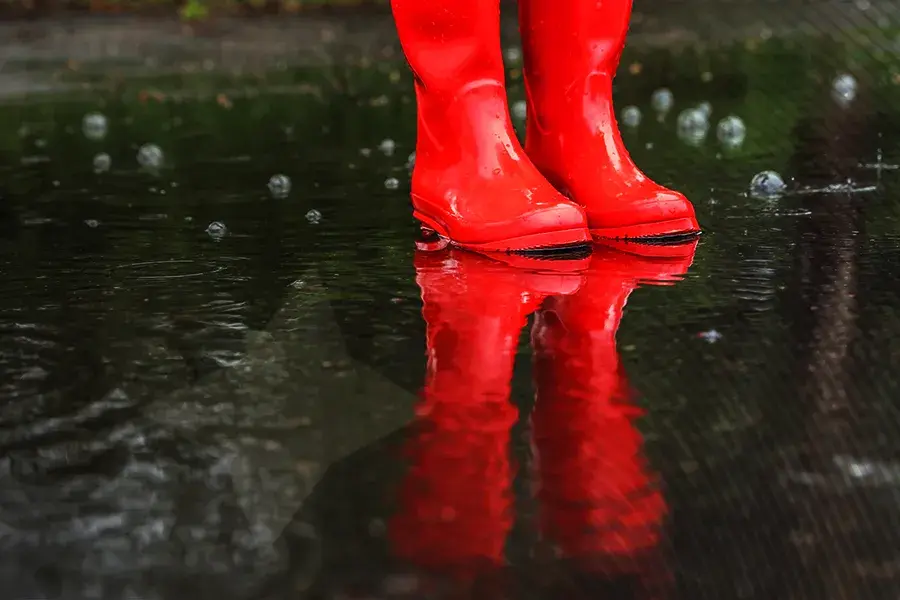 Preparing for Hurricane Season