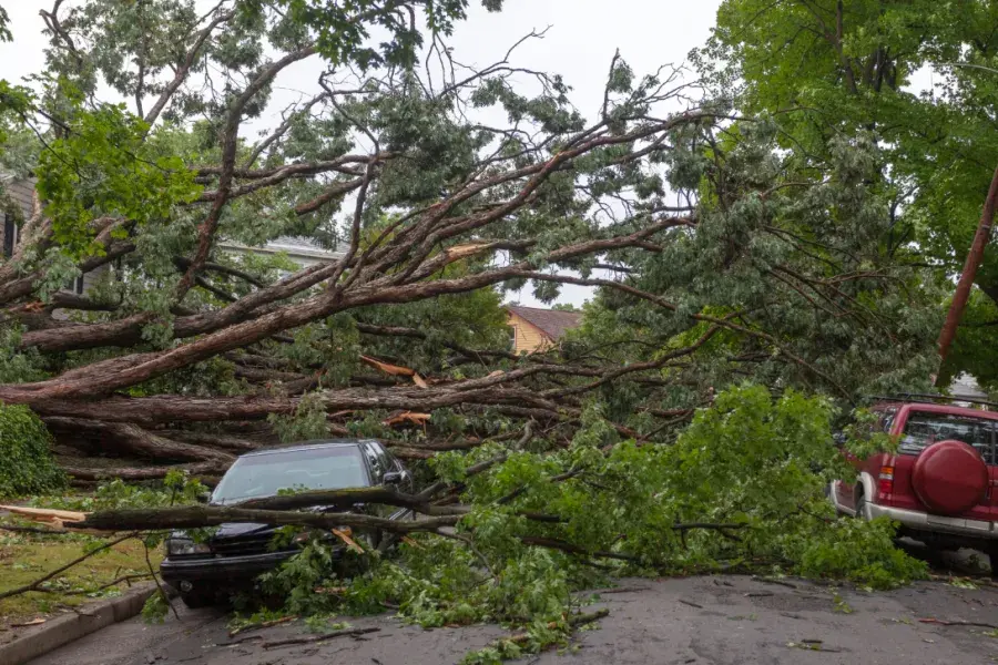 Damage from a hurricane