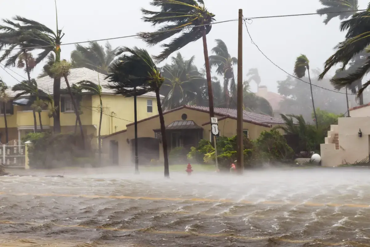 Hurricane blowing through a residential street