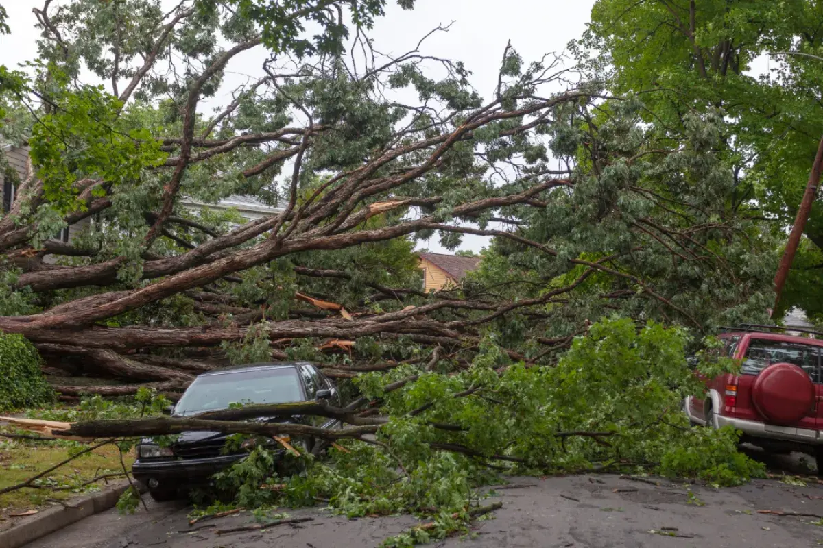 Damage from a hurricane
