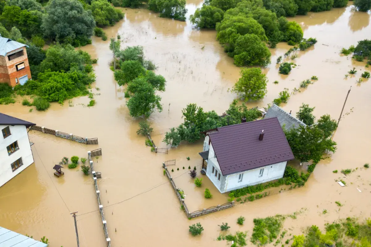 Flooded Neighborhood