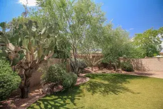 Ten Tips for Arizona Fire-Resistant Landscaping