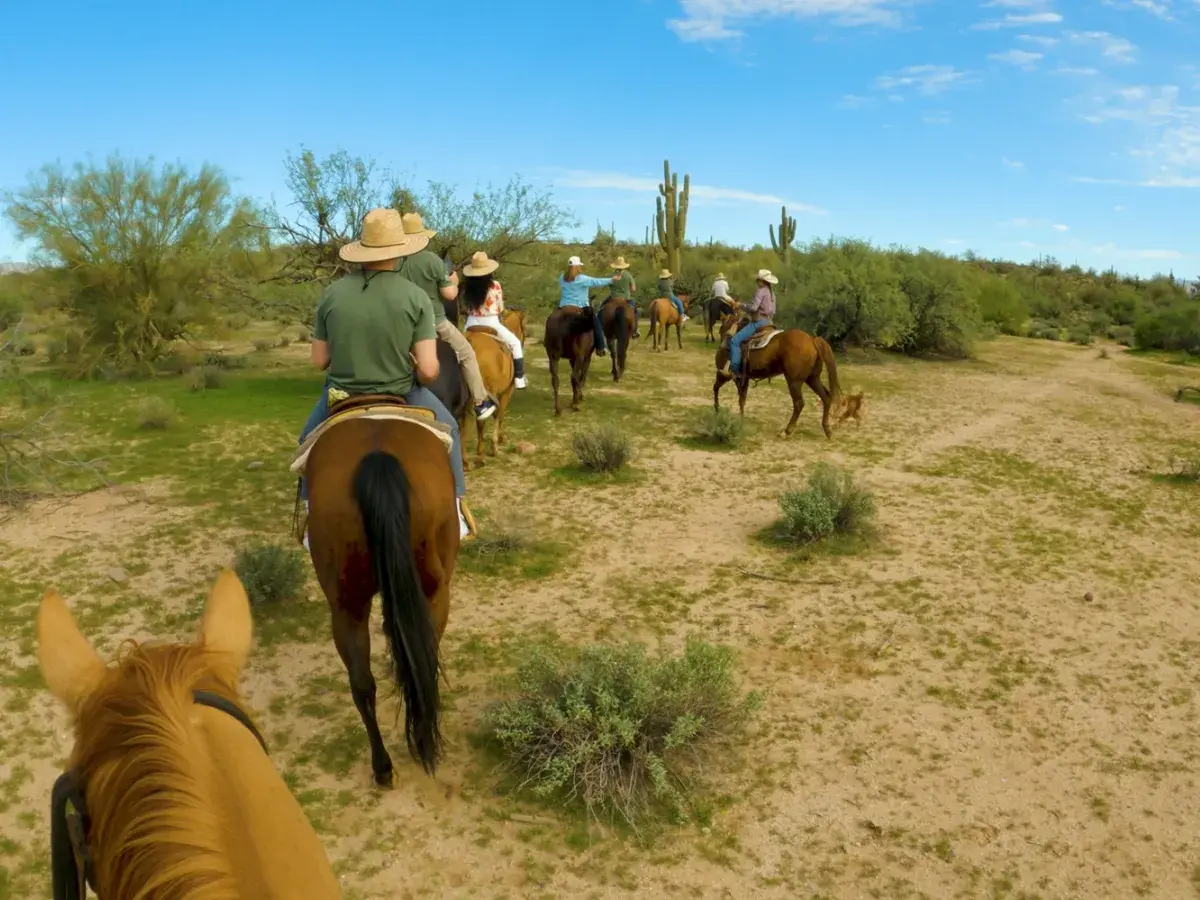 Horseback riding excursion at Accelerate25
