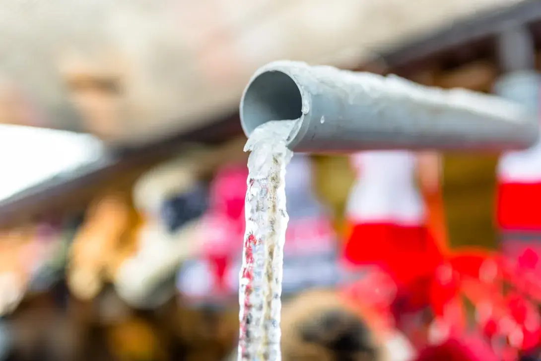 Winter Wonderland or Plumbing Nightmare? Avoid the Hassle of Frozen Pipes