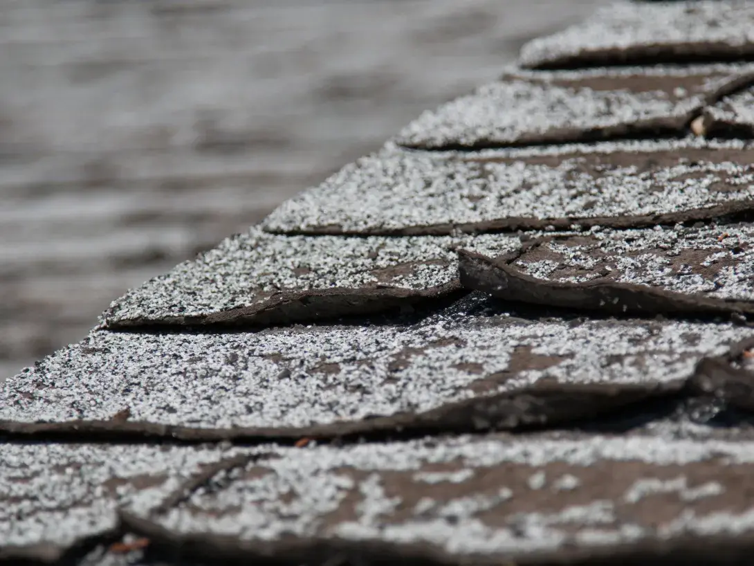 FHFA ACV Blod Main Photo